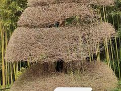 -苏州河梦清园环保主题公园