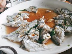 -芦潮港集贸市场