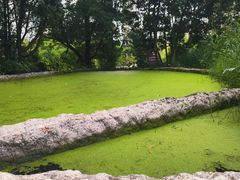 -成都市活水公园