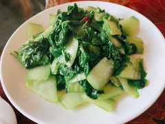 时令青菜-谭家菜农夫山庄