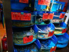 -北戴河庆山饭店·海鲜砂锅粥(北戴河黑石路店)