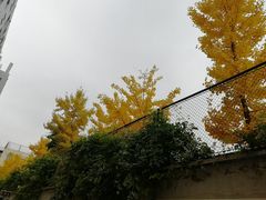 -北京邮电大学