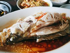 -瓦库茶馆17号(海汇港店)