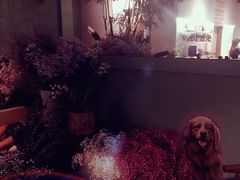 -ZooYoo佐佑咖啡(鼓楼店)