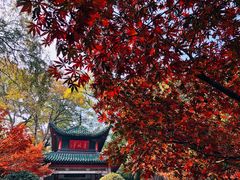 -岳麓山风景名胜区