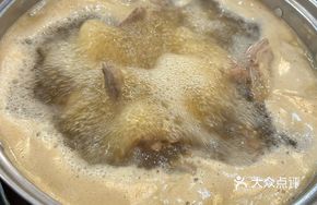 Medicated Pigeon Soup