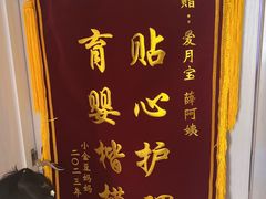 -爱月宝月嫂·育儿嫂