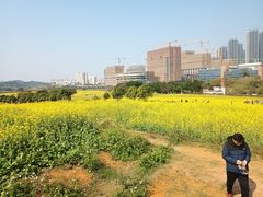 -光明小镇欢乐田园