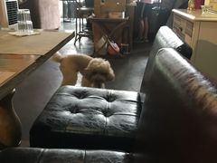 -静香HOUSE·全时段融合餐厅(七星欢乐颂店)