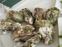-渔民船说·北塘海鲜·天津菜·海肠捞饭(北塘古镇店)