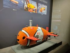 -贝林大翅鲸简餐厅(国家海洋博物馆店)