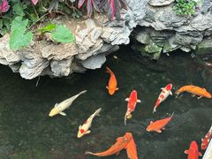 -白天鹅宾馆-宏图府餐厅