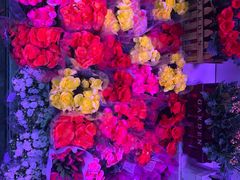 -大自然花鸟鱼虫市场