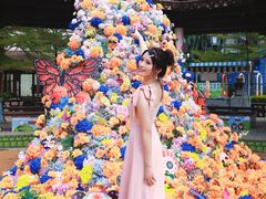 -灵玲国际马戏城