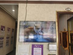 -宠爱国际动物医院· 猫科· 外科·中兽医(长白店)