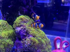 -海合安青岛极地海洋公园