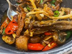 -蔼若春.传承三十年云南菜(金碧公园店)