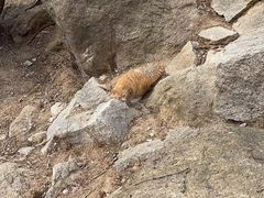 -崂山巨峰游览区