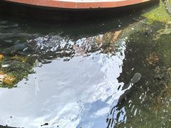 -侠成水上农庄(工业大道店)
