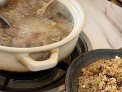 -蘑统田下·野生菌火锅