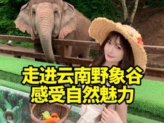 -野象谷景区
