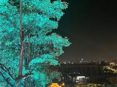 -福神岗公园