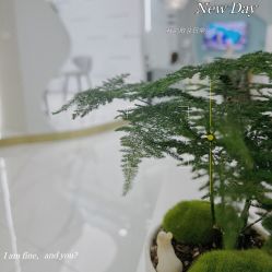 -JONMAVIN·美学