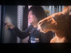 -首都电影院(天津店 中国巨幕)