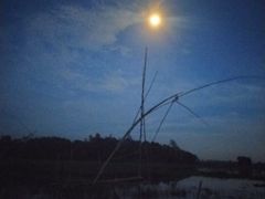 -维乐口腔医院(星海湾分院)