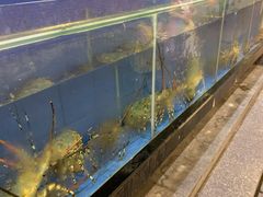 水产区-新灿记大酒楼
