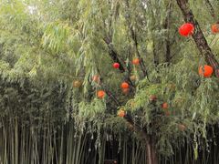 -竹泉村旅游度假区