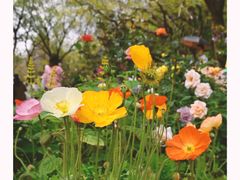 -人民公园(罗湖区)