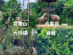 -广州长隆野生动物世界