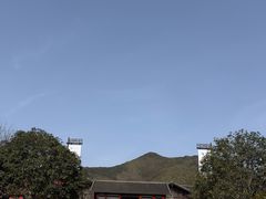 -大唐贡茶院