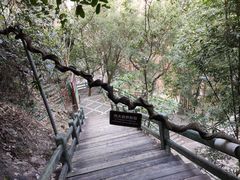 -四会奇石河风景区