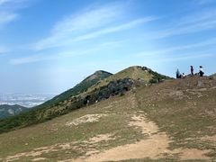 -大姆山草场