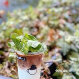 小鸟咖啡 | 喝来喝去还是小鸟咖啡