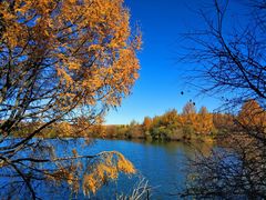 -塞罕坝国家级自然保护区