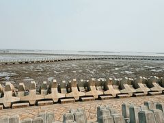 -南汇嘴观海公园