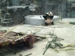 -鄂尔多斯野生动物园