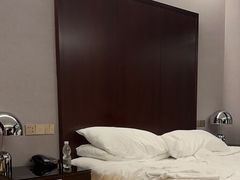 -上海龙之梦万丽酒店