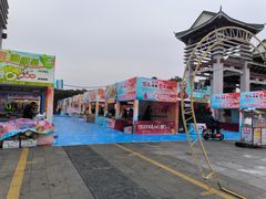 -王借岗森林公园