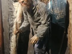 -陕西自然博物馆