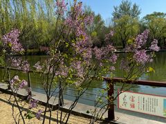 -济南植物园