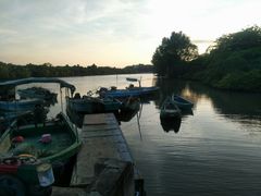 -东寨港红树林旅游区