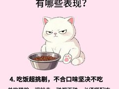 -瑞鹏宠物医院·骨外科·心肾科·肿瘤科(九亭店)