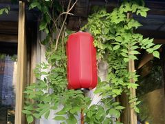 -鲤院·新中式美学·庭院餐厅(夫子庙店)