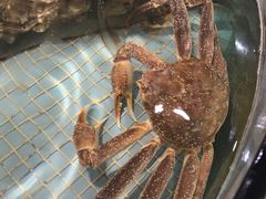 -徐记海鲜·宴会(大唐西市|丰庆店)
