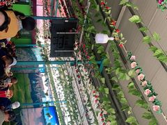 -马白开来特色羊排揪片子  (总店)