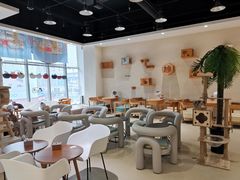 -藏猫猫咖啡主题馆(中央大道店)